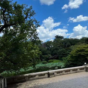 東京国立博物館に投稿された画像（2024/8/17）