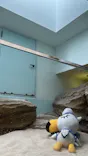 仙台うみの杜水族館に投稿された画像（2024/8/17）