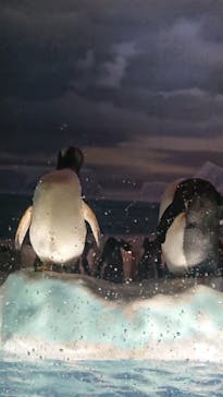 名古屋港水族館に投稿された画像（2024/8/17）