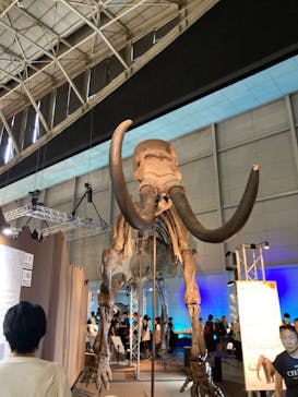 巨大恐竜展2024に投稿された画像（2024/8/17）