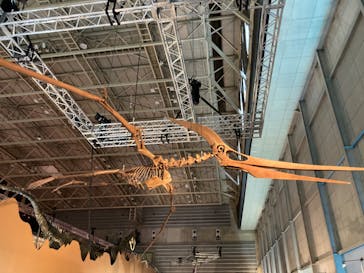 巨大恐竜展2024に投稿された画像（2024/8/17）