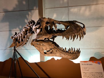巨大恐竜展2024に投稿された画像（2024/8/17）