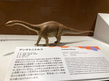 巨大恐竜展2024に投稿された画像（2024/8/17）