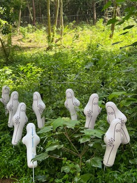 ムーミンバレーパークに投稿された画像（2024/8/17）