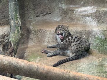 神戸どうぶつ王国に投稿された画像（2024/8/17）