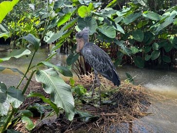 神戸どうぶつ王国に投稿された画像（2024/8/17）
