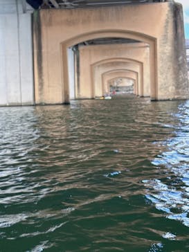 カヌーパークOKAYAMA（オカヤマ）に投稿された画像（2024/8/17）