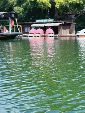 カヌーパークOKAYAMA（オカヤマ）に投稿された画像（2024/8/17）