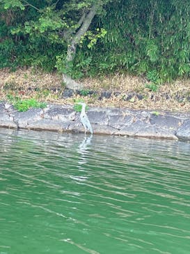 カヌーパークOKAYAMA（オカヤマ）に投稿された画像（2024/8/17）