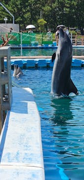 横浜・八景島シーパラダイスに投稿された画像（2024/8/17）