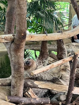 那須どうぶつ王国に投稿された画像（2024/8/17）