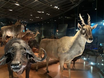 国立科学博物館に投稿された画像（2024/8/17）