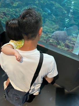 上越市立水族博物館 うみがたりに投稿された画像（2024/8/17）