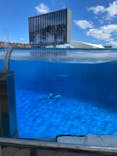 名古屋港水族館に投稿された画像（2024/8/17）