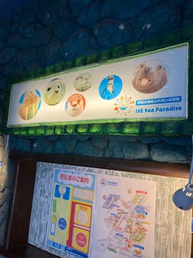 ゼロ距離水族館 伊勢シーパラダイスに投稿された画像（2024/8/17）