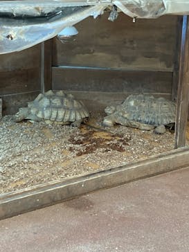 ゼロ距離水族館 伊勢シーパラダイスに投稿された画像（2024/8/17）