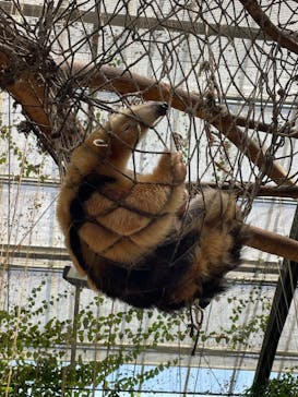 神戸どうぶつ王国に投稿された画像（2024/8/17）