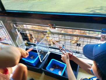 群馬サファリパークに投稿された画像（2024/8/17）