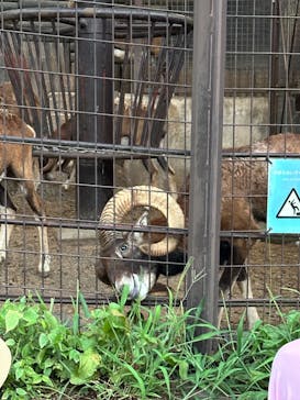 多摩動物公園に投稿された画像（2024/8/17）