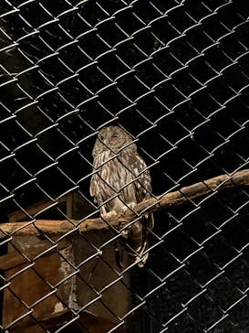 多摩動物公園に投稿された画像（2024/8/17）