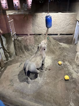 多摩動物公園に投稿された画像（2024/8/17）