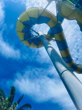 蓮沼ウォーターガーデンに投稿された画像（2024/8/17）