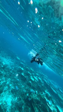 西表島 ADVENTURE PiPi（アドベンチャーピピ）に投稿された画像（2024/8/17）