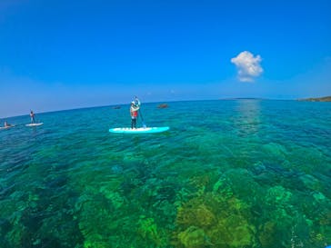 aoomyahkに投稿された画像（2024/8/17）