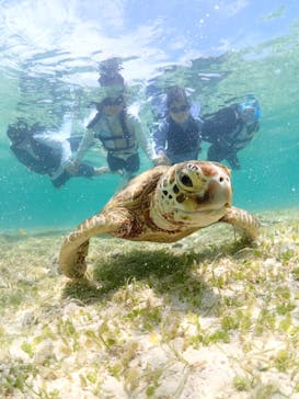 宮古島マリン GB QUESTに投稿された画像（2024/8/17）