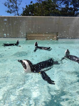 マリンワールド海の中道に投稿された画像（2024/8/17）