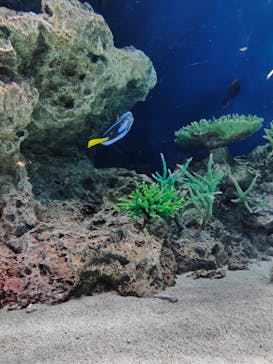 マリンワールド海の中道に投稿された画像（2024/8/17）