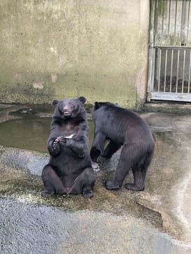 阿蘇カドリー・ドミニオンに投稿された画像（2024/8/17）