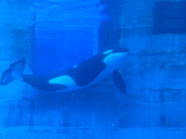 名古屋港水族館に投稿された画像（2024/8/17）