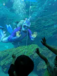 仙台うみの杜水族館に投稿された画像（2024/8/17）