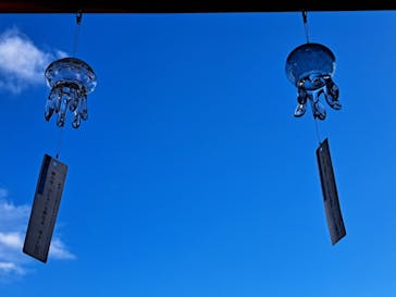 京都鉄道博物館×京都水族館に投稿された画像（2024/8/17）