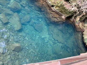 秋芳洞に投稿された画像（2024/8/17）