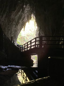 秋芳洞に投稿された画像（2024/8/17）