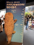 京都水族館に投稿された画像（2024/8/17）