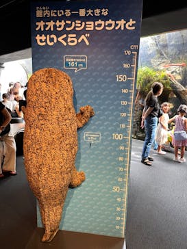 京都水族館に投稿された画像（2024/8/17）