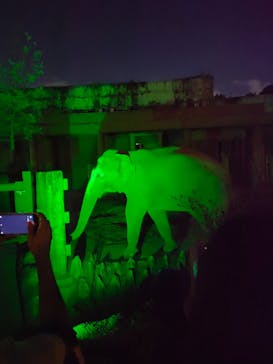 名古屋市東山動植物園に投稿された画像（2024/8/17）