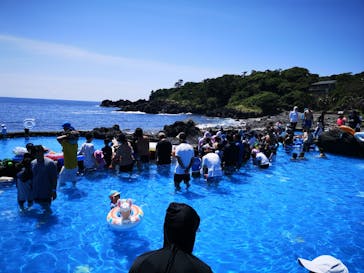 伊豆海洋公園磯プールに投稿された画像（2024/8/17）
