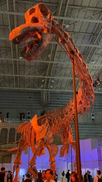 巨大恐竜展2024に投稿された画像（2024/8/17）