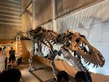 巨大恐竜展2024に投稿された画像（2024/8/17）