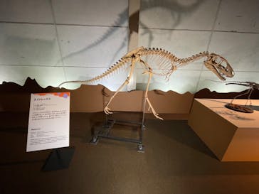 巨大恐竜展2024に投稿された画像（2024/8/17）