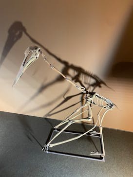 巨大恐竜展2024に投稿された画像（2024/8/17）