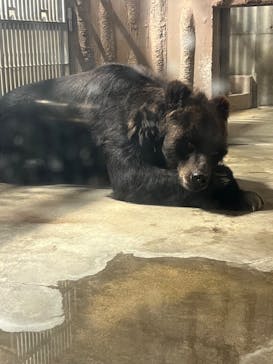 名古屋市東山動植物園に投稿された画像（2024/8/17）