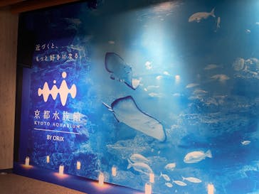 京都鉄道博物館×京都水族館に投稿された画像（2024/8/17）