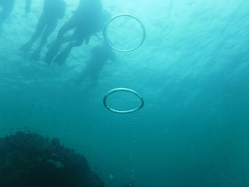 初心者専門店NEOMARINE石垣島に投稿された画像（2024/8/17）