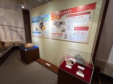 岐阜県博物館に投稿された画像（2024/8/17）