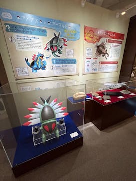 岐阜県博物館に投稿された画像（2024/8/17）